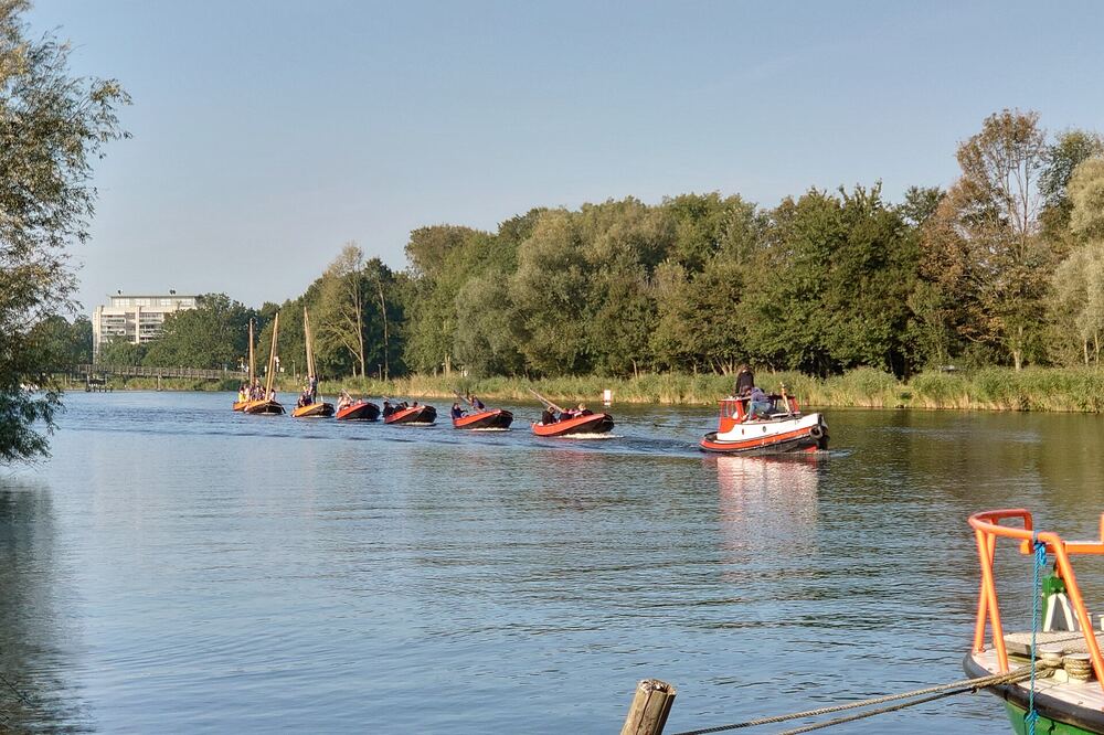 Een sleep lelievletten op het water bij Vlaardingen