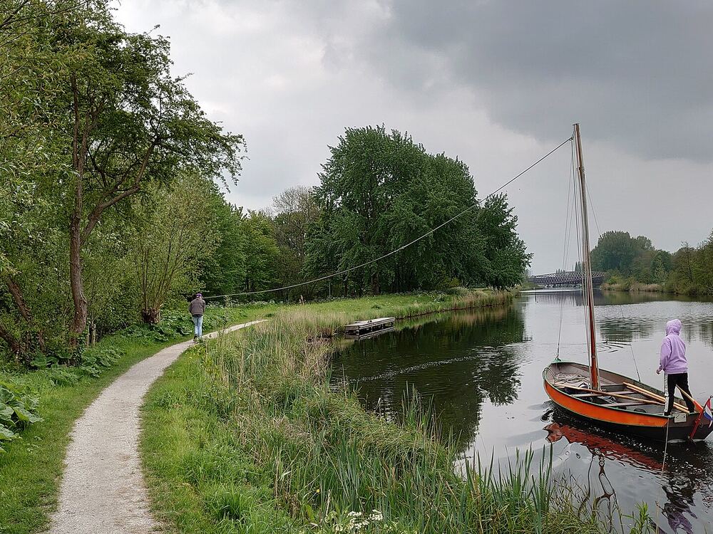 Een lelievlet wordt langs het water gejaagd bij Vlaardingen
